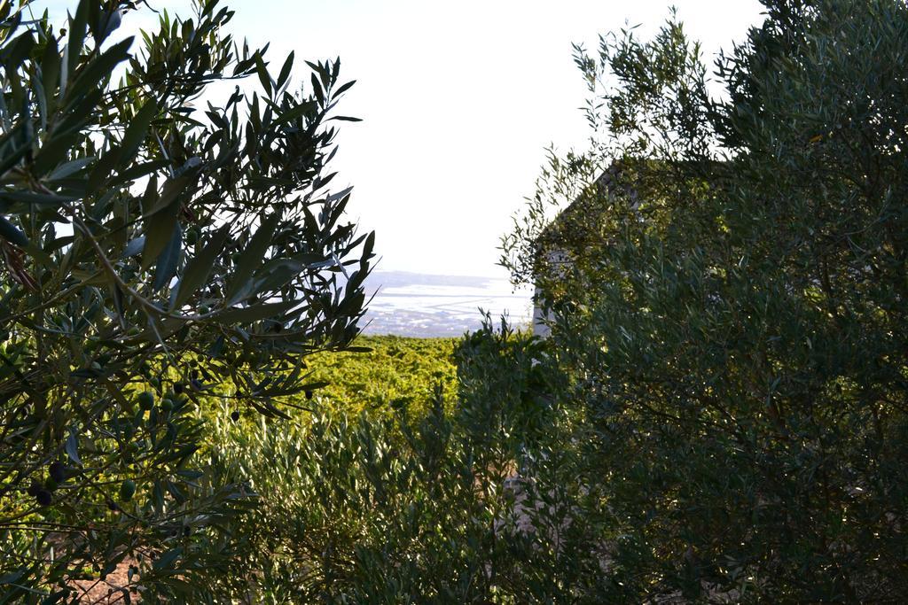 Casa Nel Vigneto Erice Pension Buitenkant foto